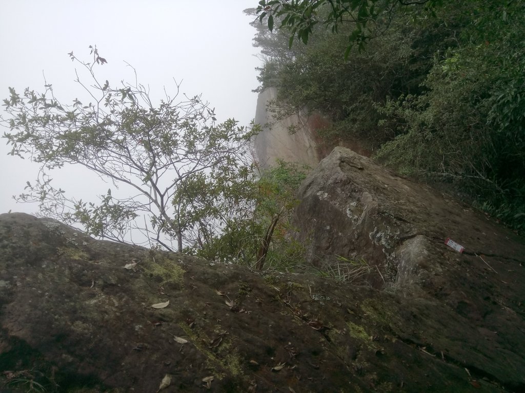 DSC_1266.JPG - 石壁山  嘉南雲峰步道