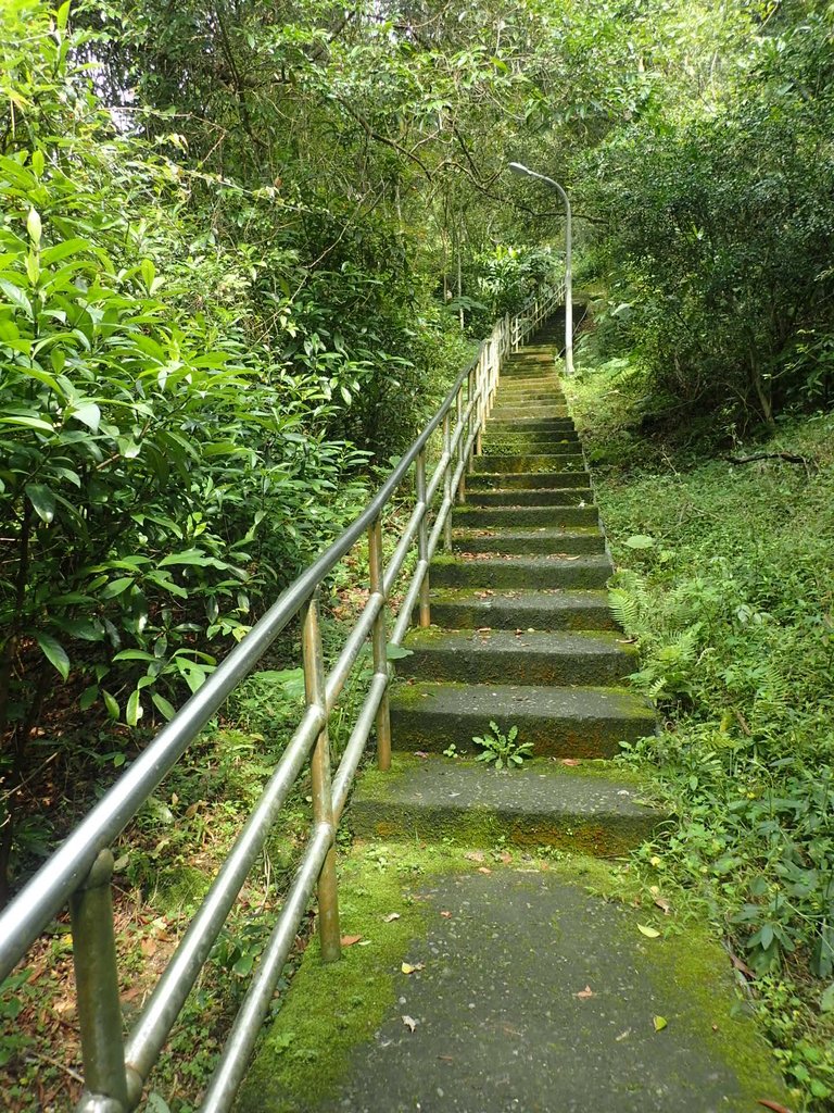 P3018796.JPG - 深坑  土庫岳登山步道  (02)