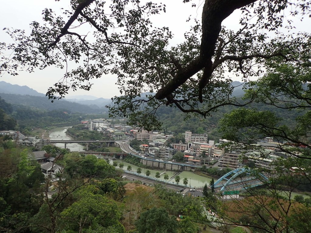 P3170362.JPG - 坪林  鬼子賴尖山