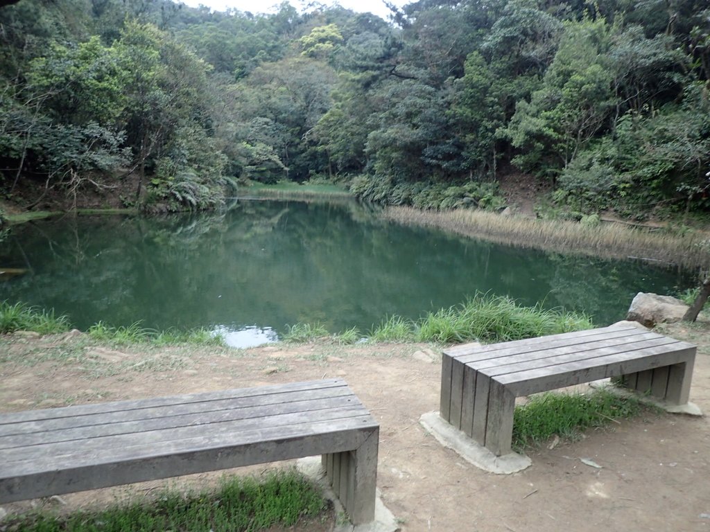 P3160115.JPG - 汐止  柯子林山  如意湖