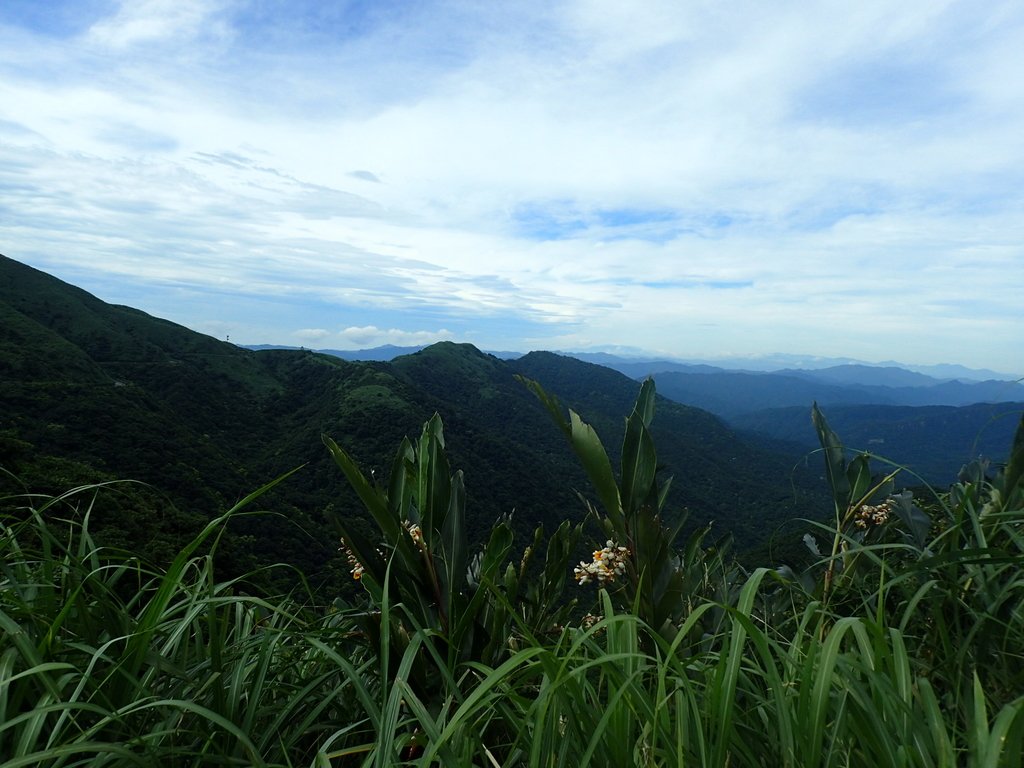 P6090281.JPG - 瑞芳  三貂嶺山  三貂大崙