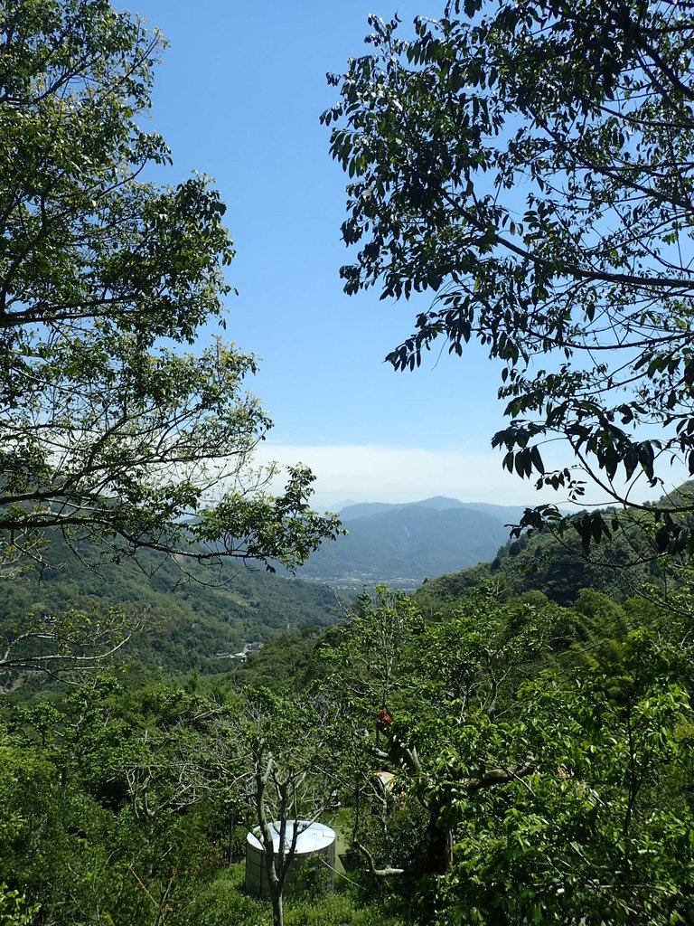 P4161464.JPG - 霧峰  青桐林生態園區