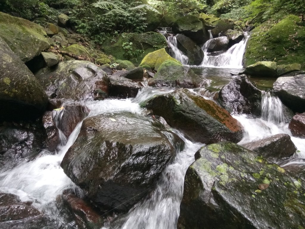 DSC_0726.JPG - 三芝  大屯溪古道