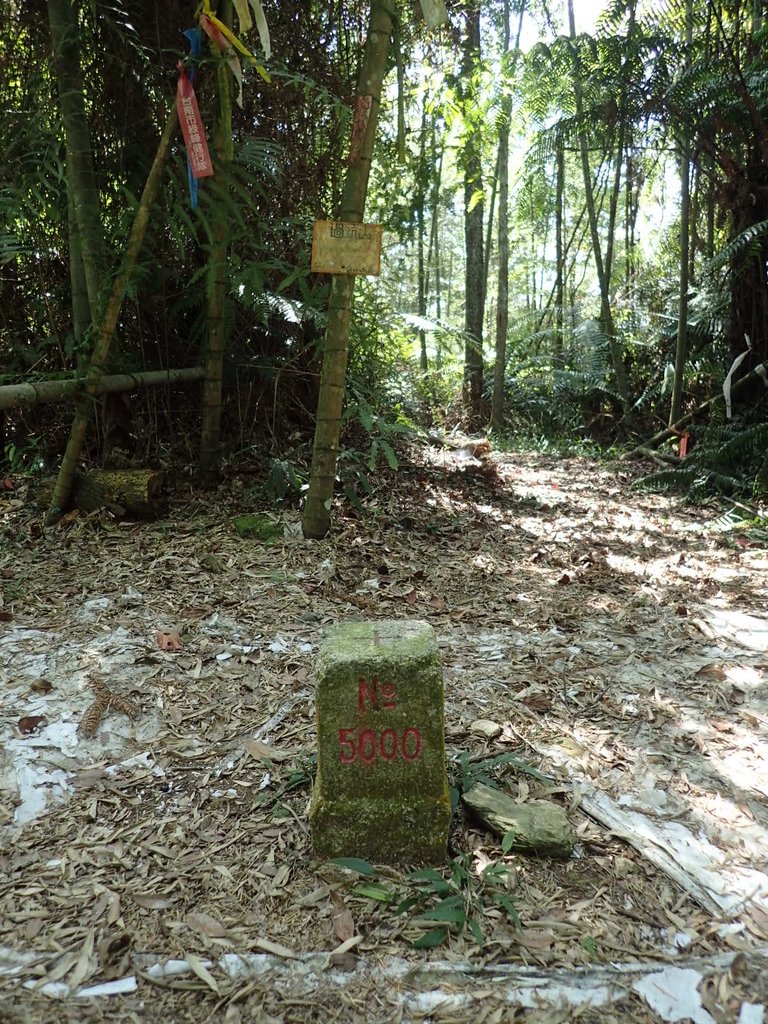 PA040399.JPG - 魚池  過坑山登山步道