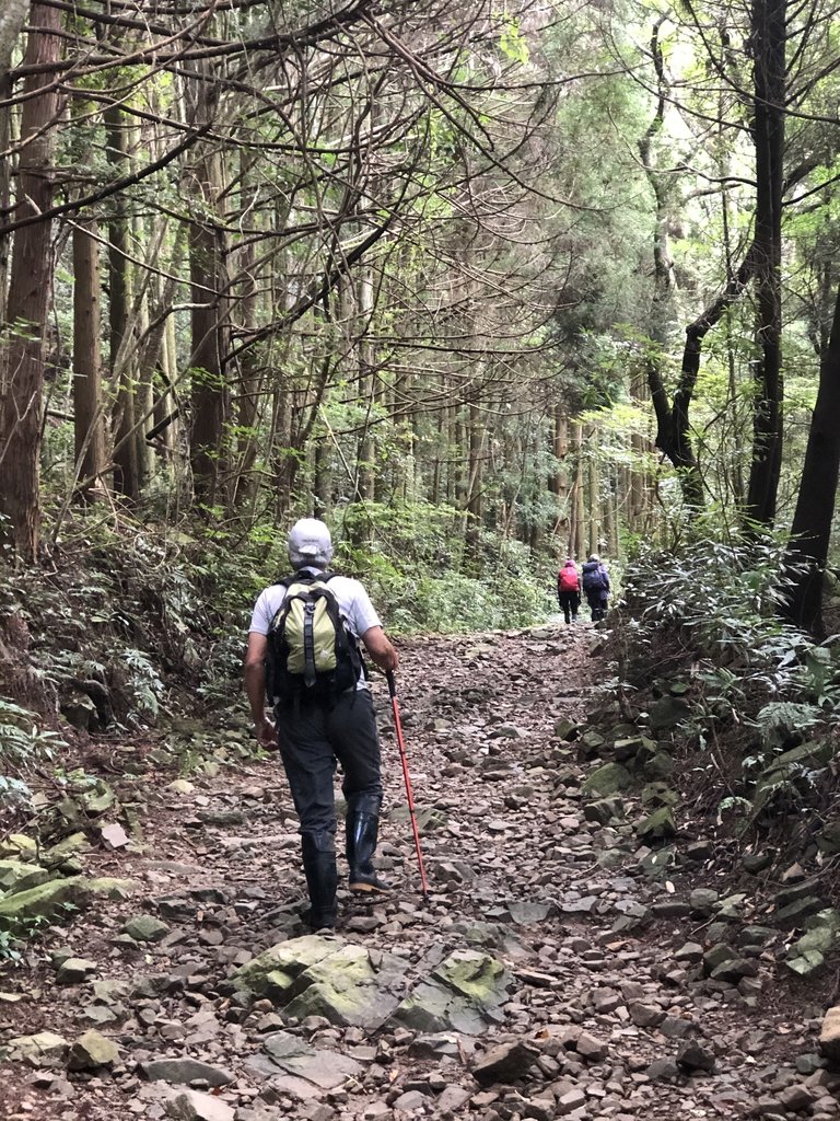 IMG_7562.JPG - 台中和平  長壽山登山步道  (上)