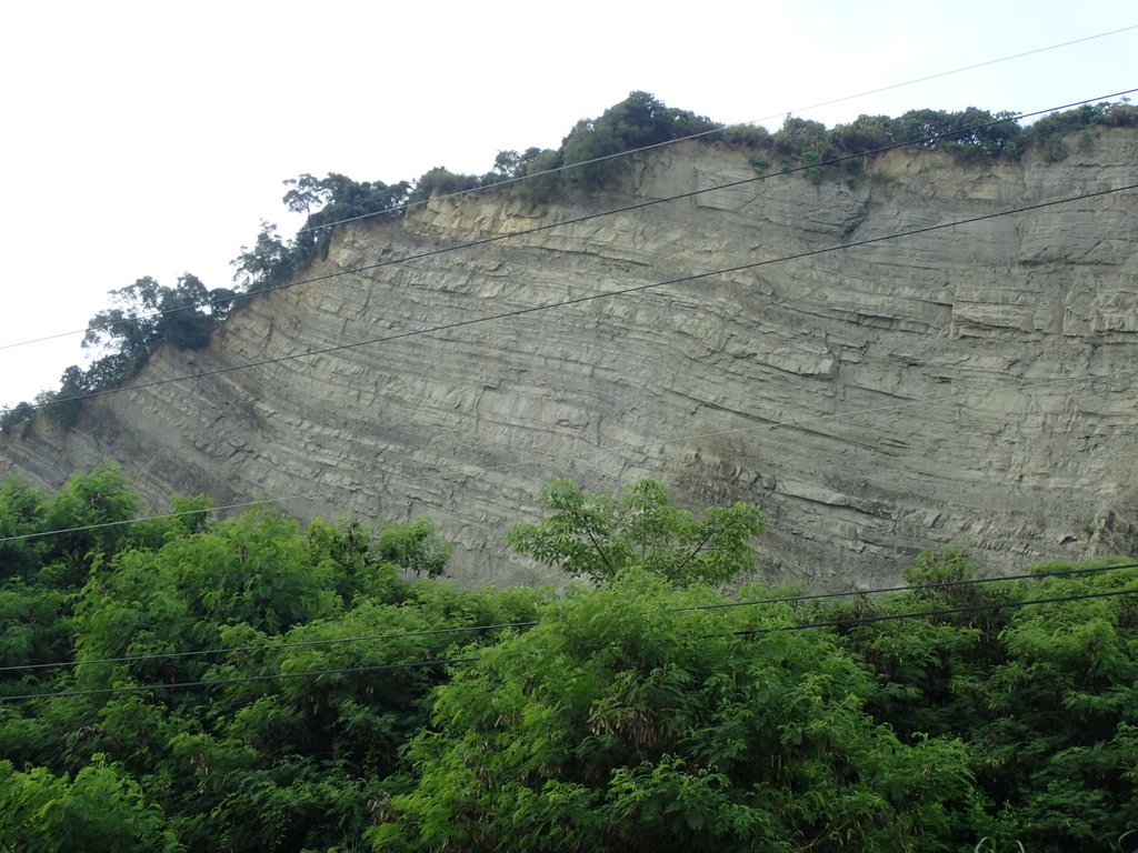 P6285003.JPG - 霧峰  烏溪北岸之  象鼻坑風光