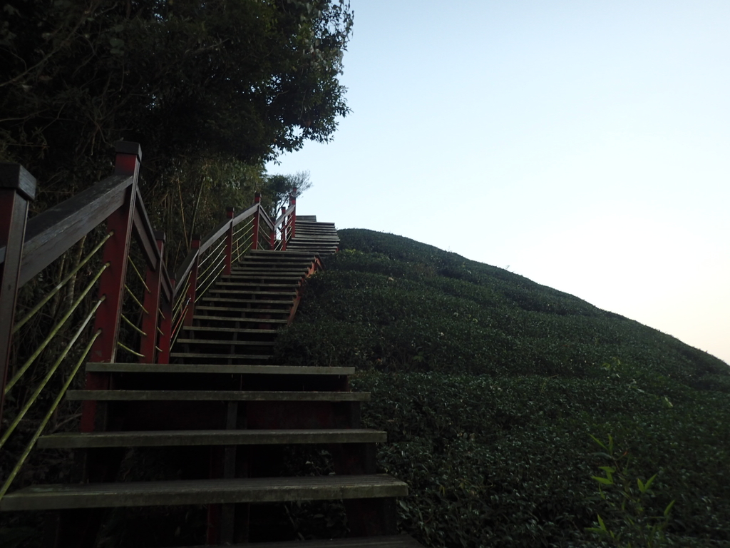 P1306574.JPG - 雲嘉  大尖山  二尖山步道