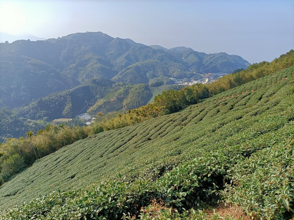 IMG20210130092923.jpg - 雲嘉連峰之  太平山  梨子腳山