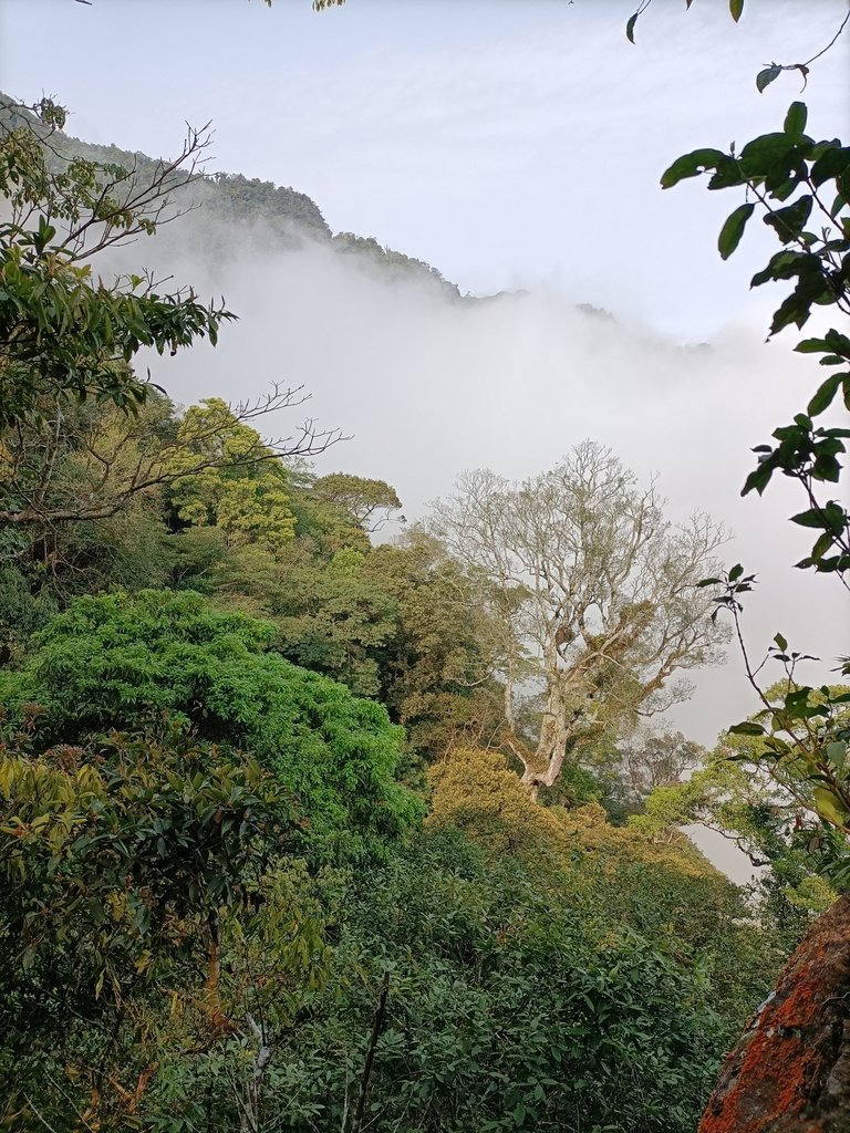 IMG20210403090119.jpg - 五峰  鵝公髻山登山步道  (01)