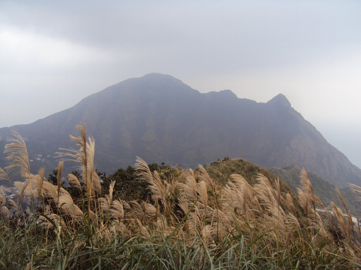 DSC03173.JPG - 無耳茶壺山產業道路