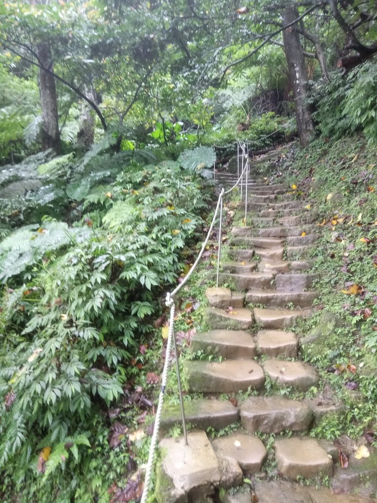 DSC_1743.JPG - 土城  天上山  登山步道