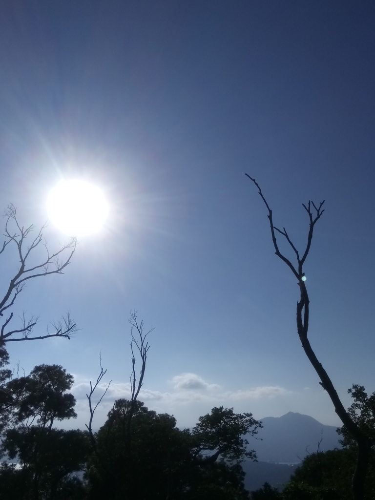 DSC_8850.JPG - 北投  中正山登山步道 01