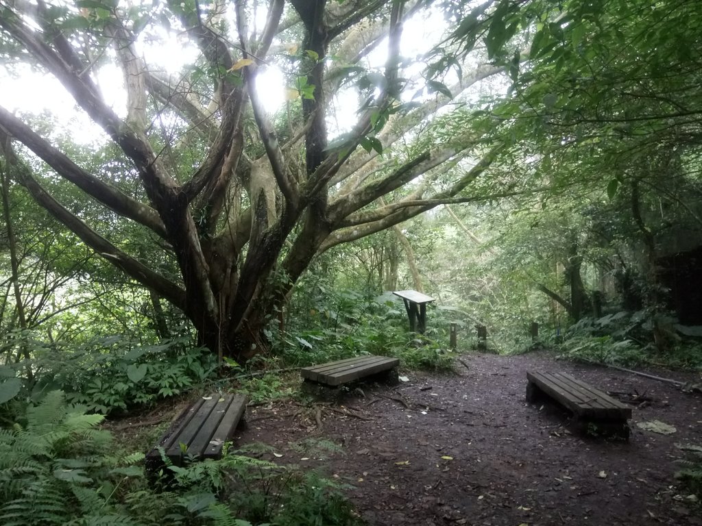 DSC_6222.JPG - 三峽  白雞山登山步道