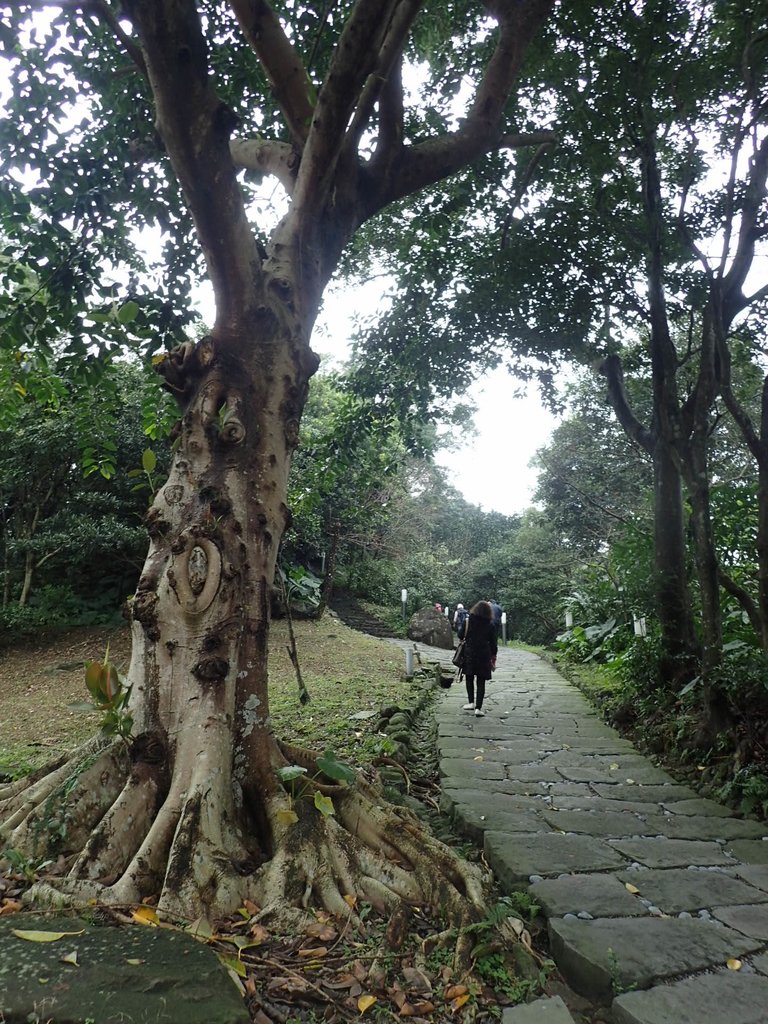 P2055225.JPG - 法鼓山  走春  2019