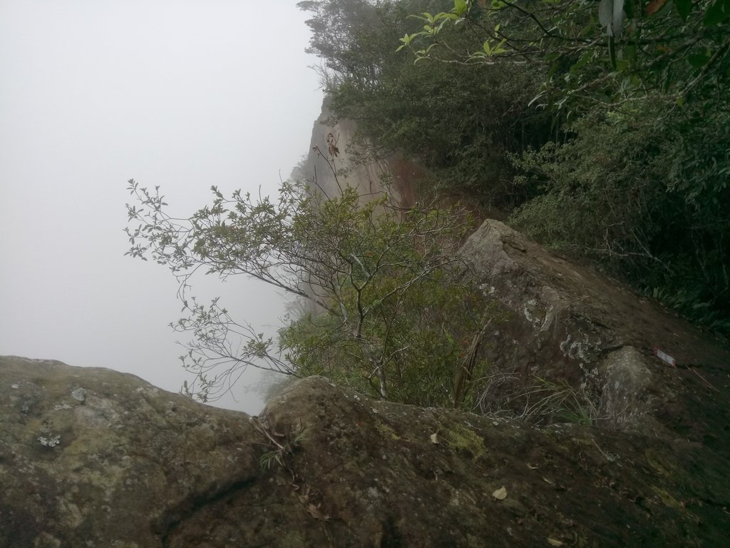 DSC_1267.JPG - 石壁山  嘉南雲峰步道