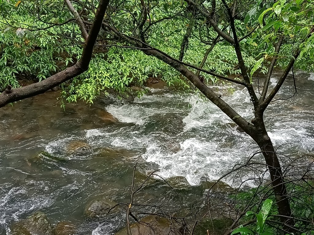 IMG20201226112049.jpg - 雙溪  燦光寮古道行