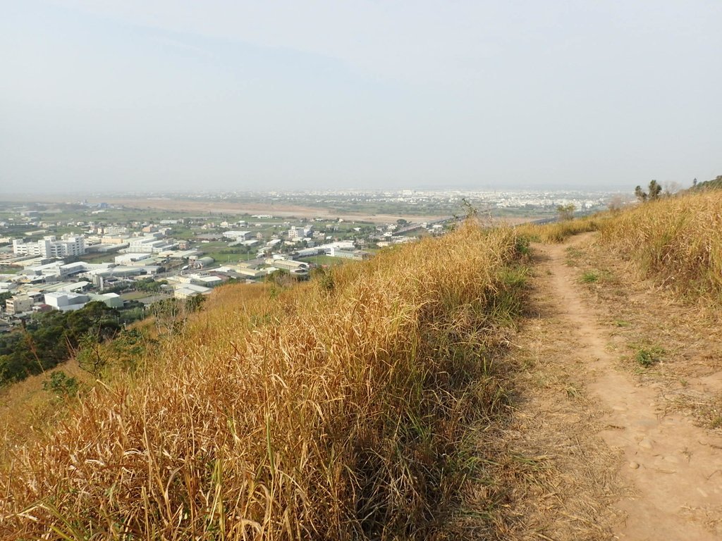 PA160972.JPG - 大甲  鐵砧山大草原