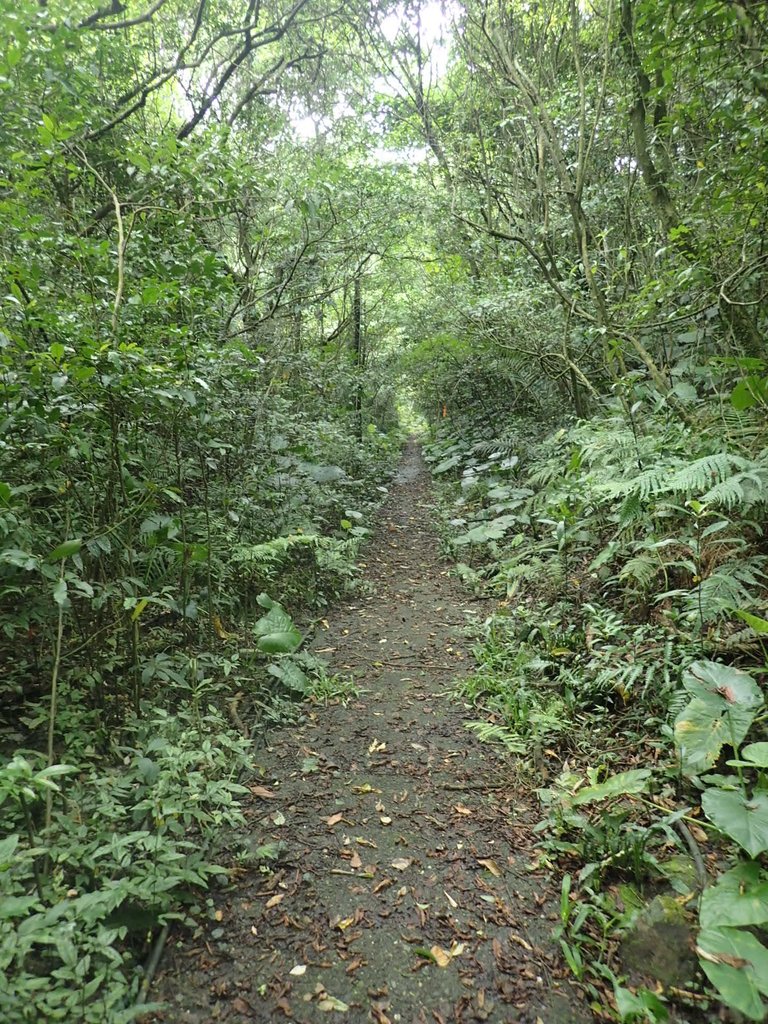 P6090391.JPG - 瑞芳  三貂嶺山  三貂大崙