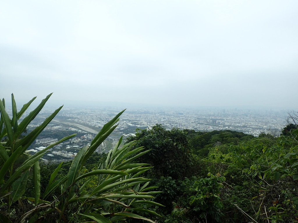 P2095066.JPG - 太平  三汀山  (望高寮)