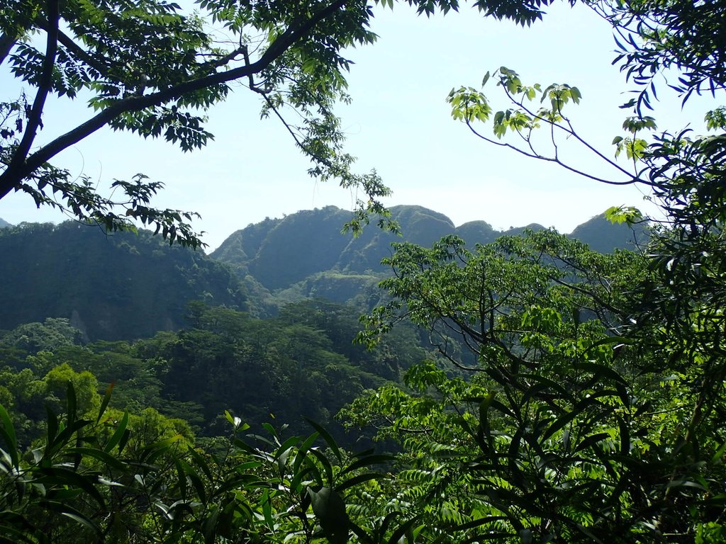 P4161408.JPG - 霧峰  青桐林生態園區