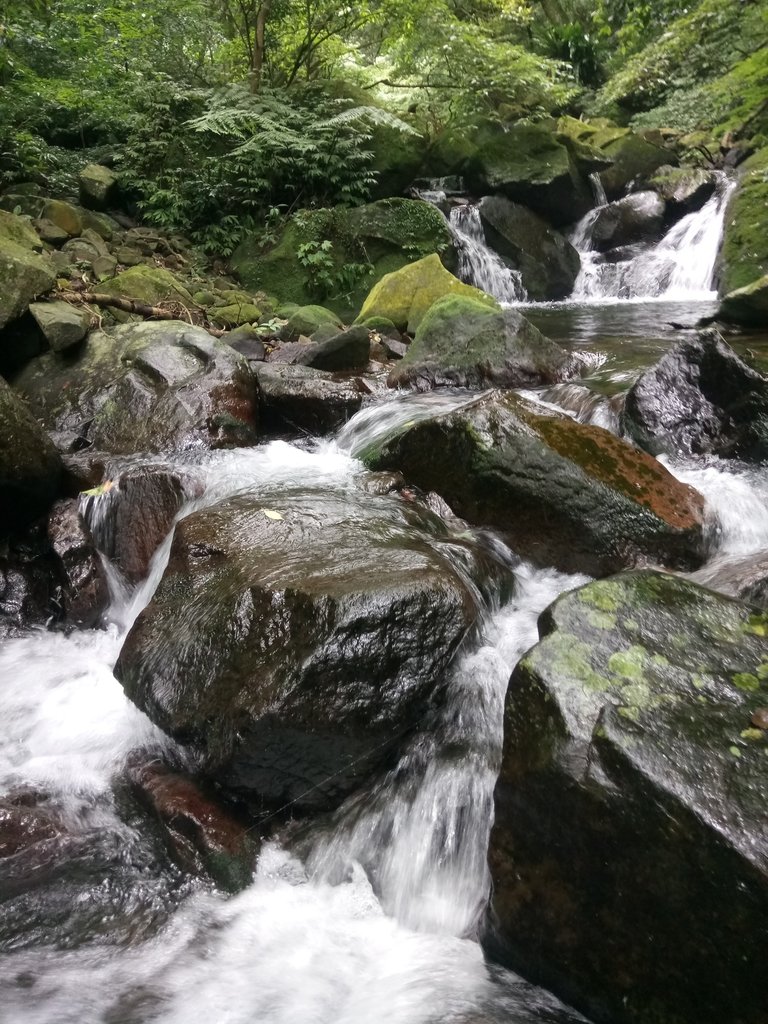 DSC_0727.JPG - 三芝  大屯溪古道