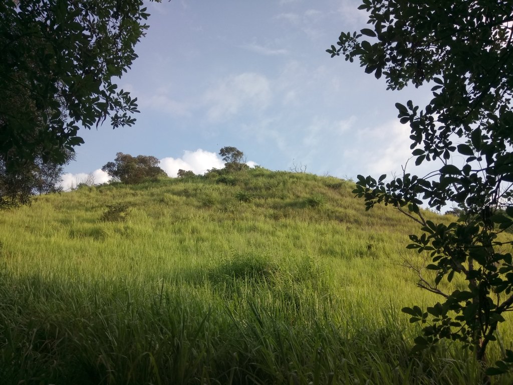 DSC_5828.JPG - 龍井  竹坑南寮登山步道