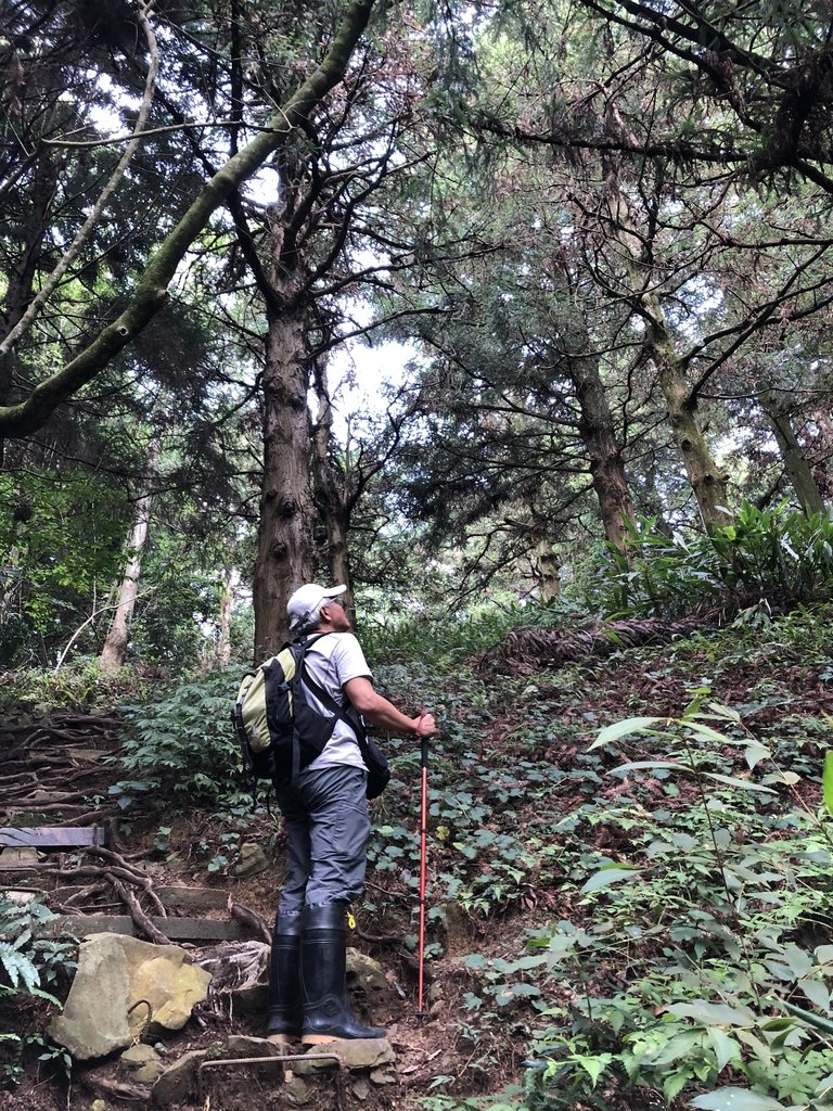 IMG_7569.JPG - 台中和平  長壽山登山步道  (上)