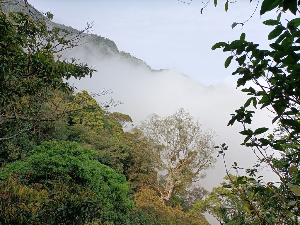 IMG20210403090124.jpg - 五峰  鵝公髻山登山步道  (01)