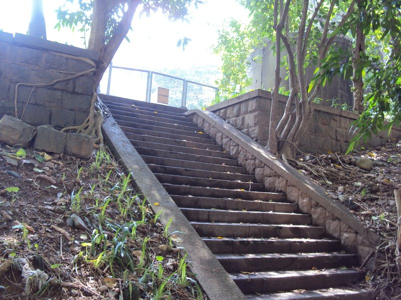 神社遺跡 (三三)  中和  海山神社