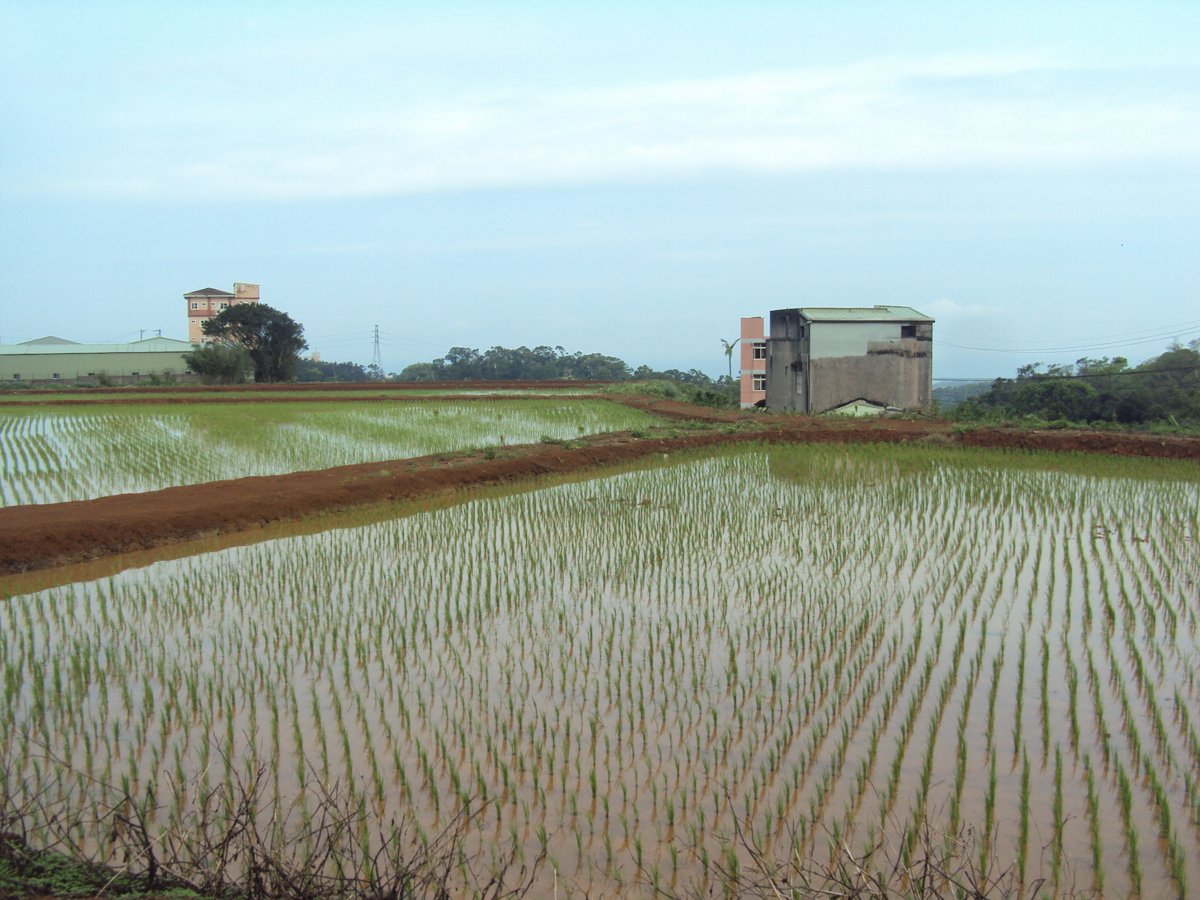 DSC05171.JPG - 淡水  番子厝傳統民居