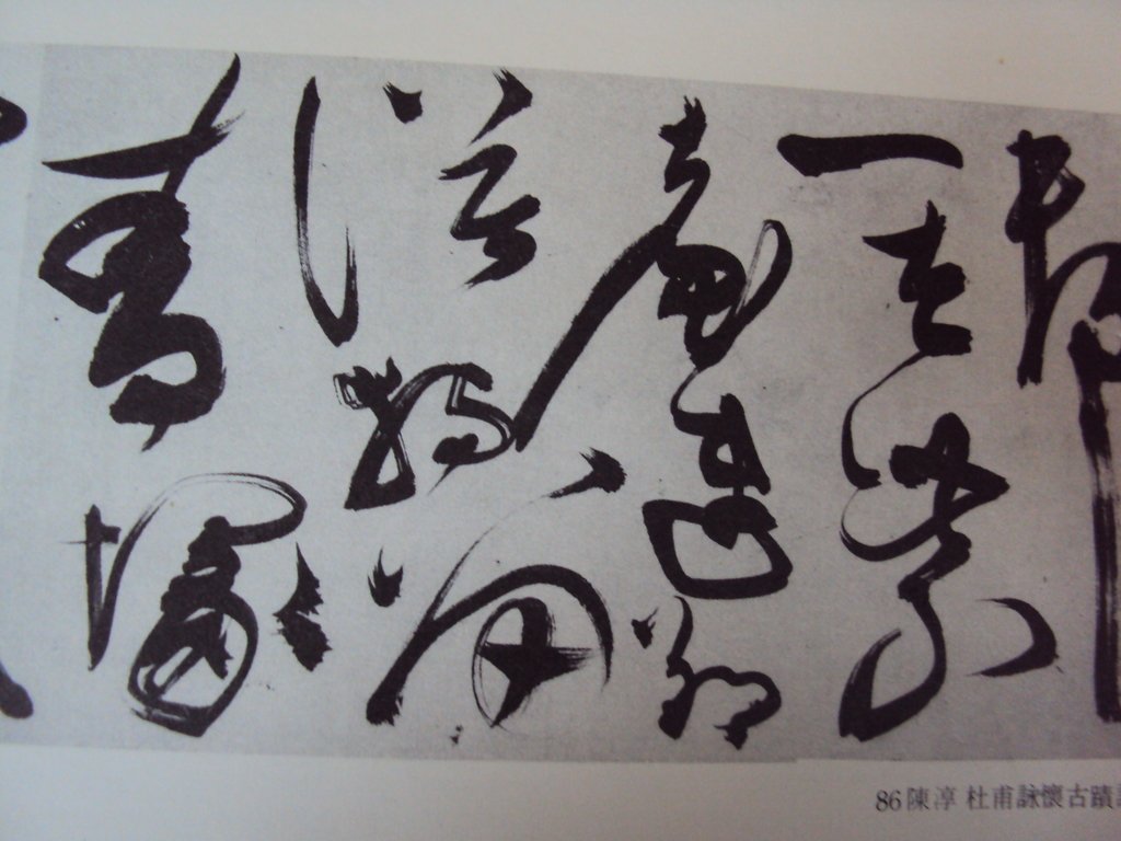 DSC00227.JPG - 陳淳的草書作品