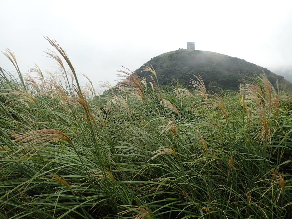 P9238242.JPG - 北投  面天山  向天湖步道