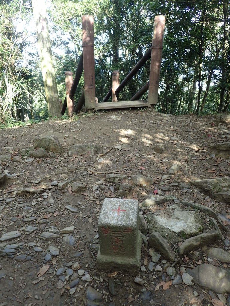 PB257496.JPG - 復興  東眼山森林步道