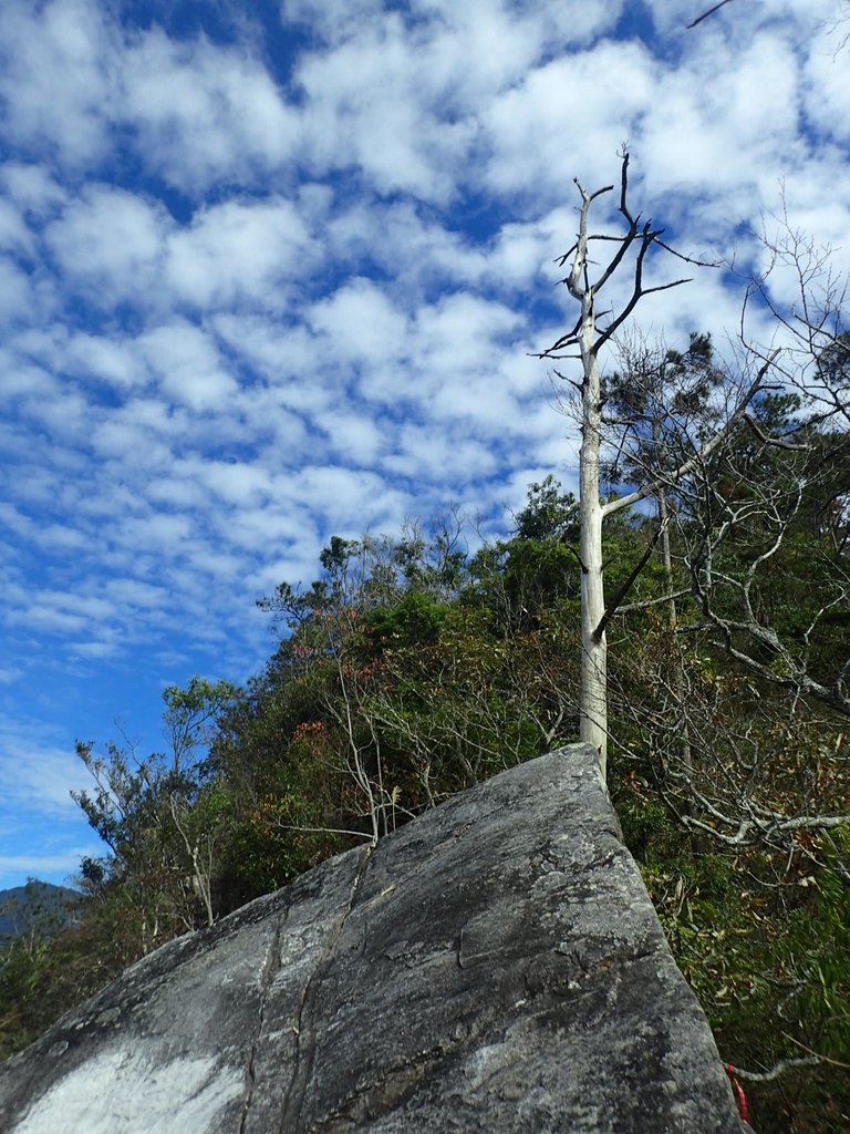 PC282641.JPG - 谷關七雄之  東卯山