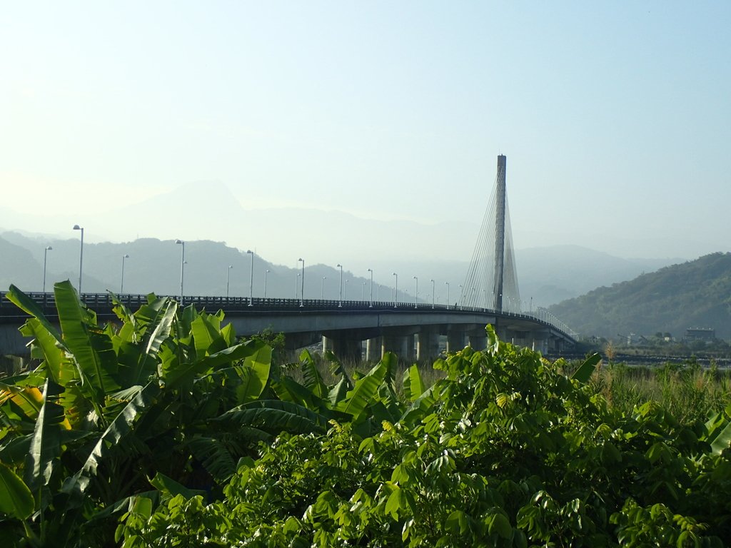 P1073101.JPG - 集集  集鹿大橋  晨光之美