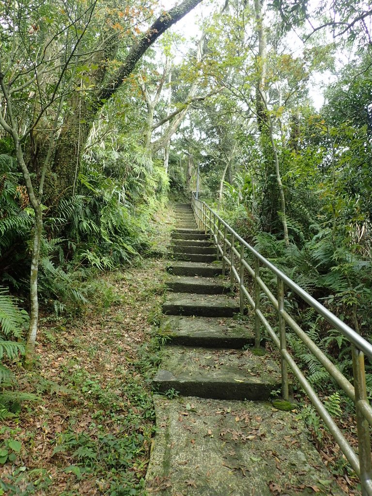 P3018798.JPG - 深坑  土庫岳登山步道  (02)