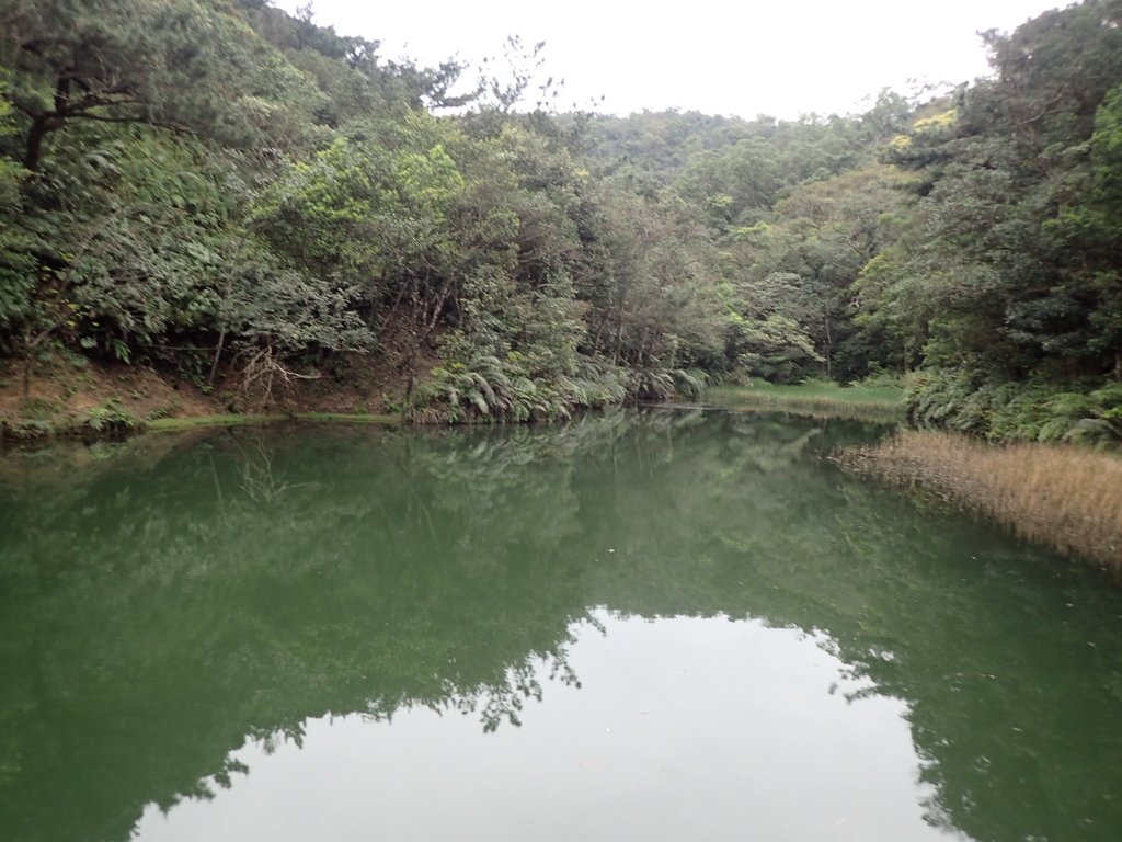 P3160122.JPG - 汐止  柯子林山  如意湖