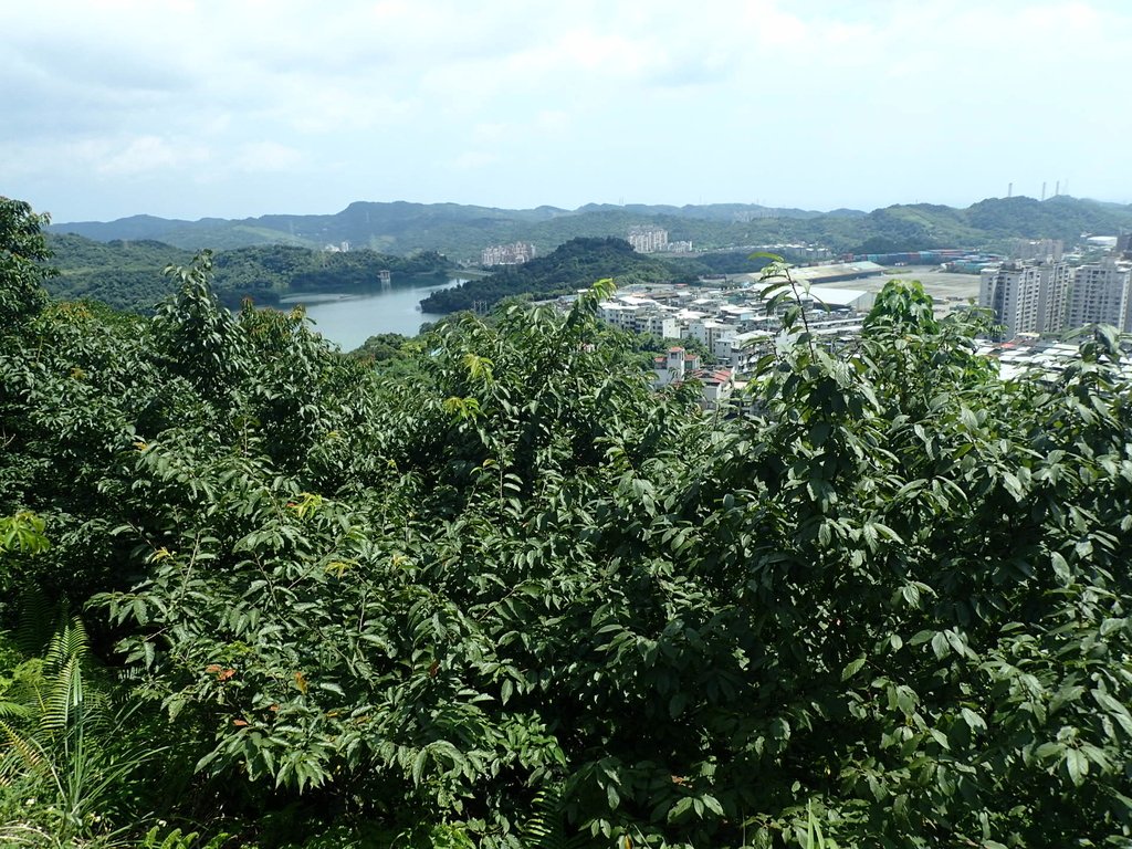 P7214016.JPG - 基隆  樂利山  遠眺新山水庫