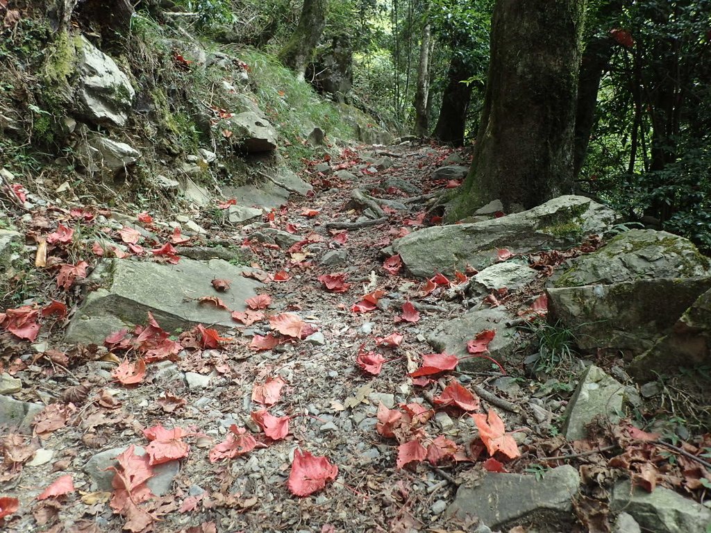 PA185632.JPG - 台中  和平  稍來山