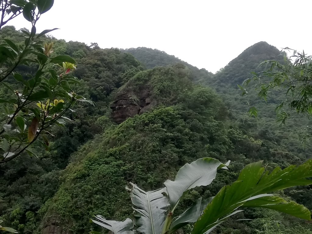 DSC_2044.JPG - 萬里  大路嶺古道行