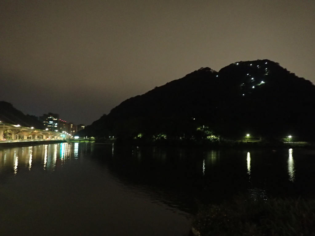 P3117027.JPG - 內湖  大湖公園之夜色