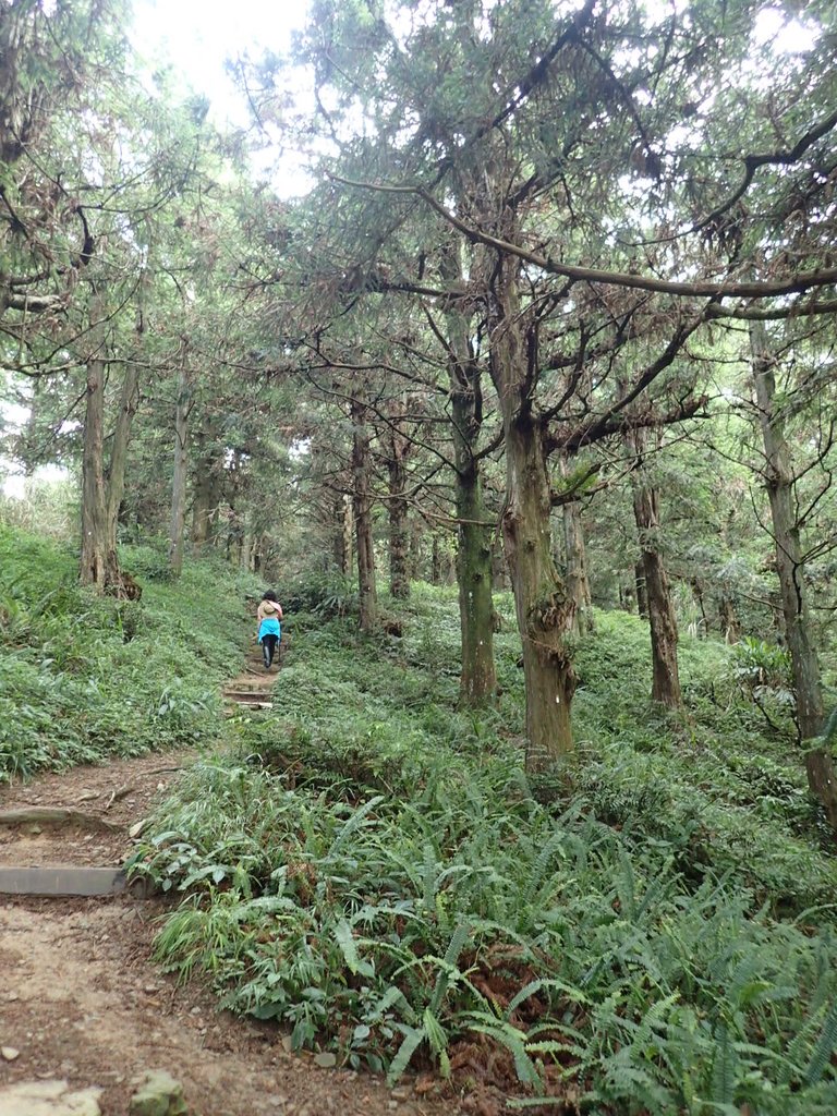 P7235809.JPG - 台中和平  長壽山登山步道  (上)