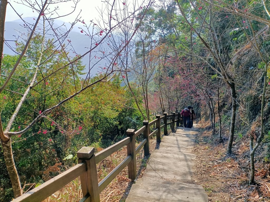 IMG20210130103115.jpg - 竹崎  獨立山登山步道