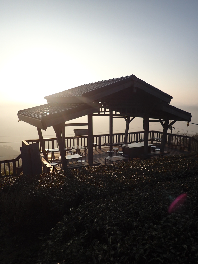 P1306581.JPG - 雲嘉  大尖山  二尖山步道