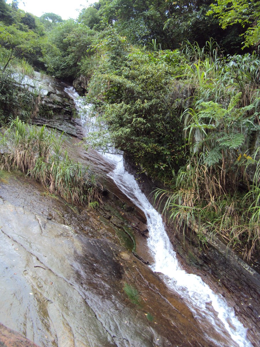 DSC07588.JPG - 基隆  暖東峽谷步道