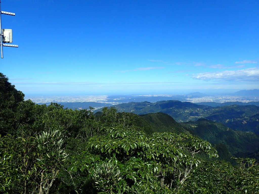 PB257498.JPG - 復興  東眼山森林步道