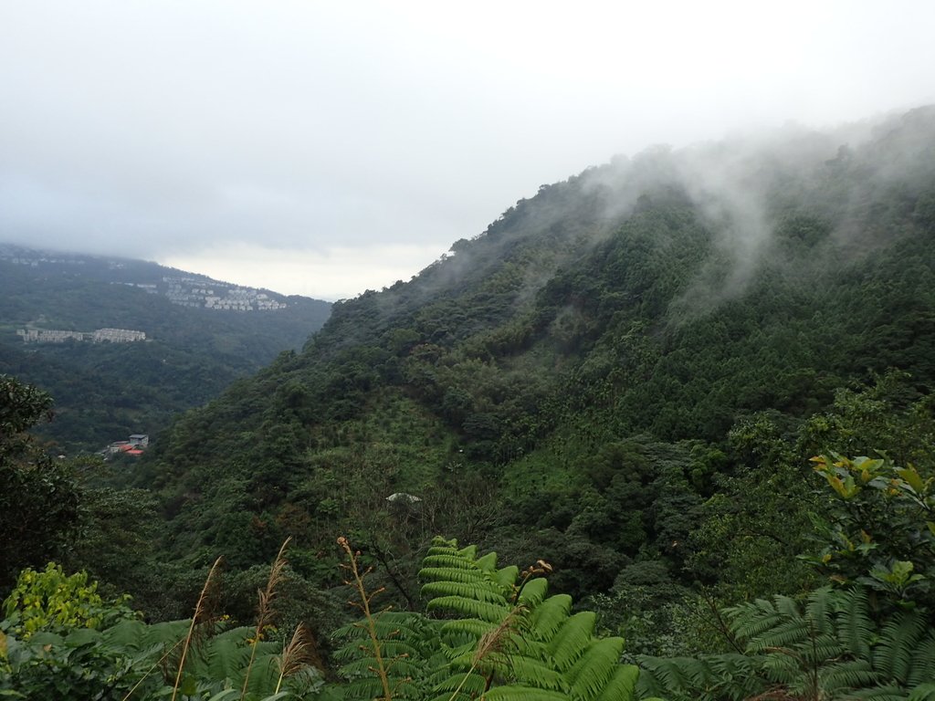 P1132729.JPG - 新店  獅子頭山隘勇線  01