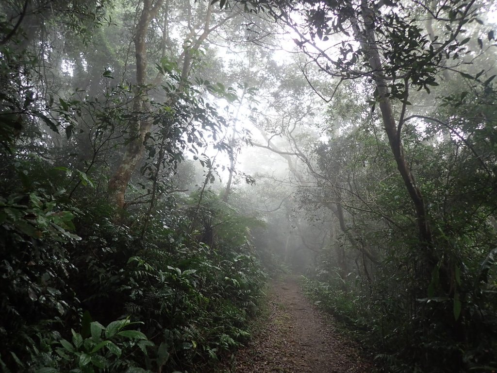 P2107536.JPG - 大溪  溪洲山登山步道