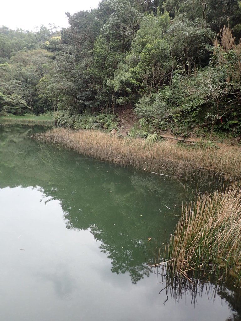 P3160123.JPG - 汐止  柯子林山  如意湖