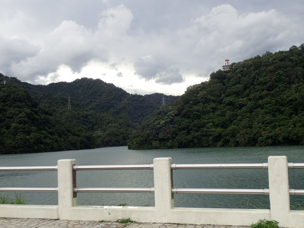 P8247032.JPG - 雨中漫遊  石門水庫